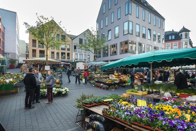 Gemüsemarkt_Wochenmarkt_Fulda_2017 (4) copy